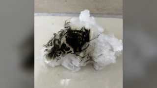 생분해성 난연성 리오셀 스테이플 1.33D*38MM, 방사 및 Nonwo용 균일 절단 섬유