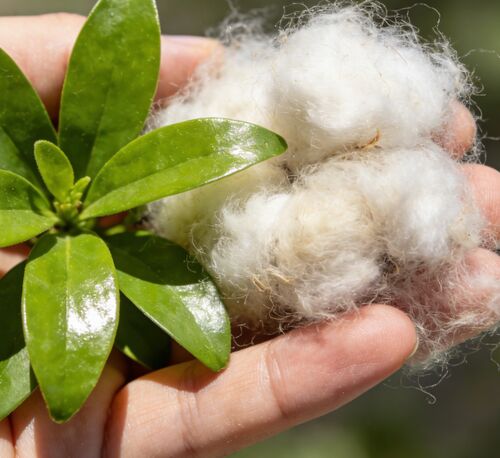 에 대한 최신 회사 뉴스 블랙 & 화이트 중공 섬유: 섬유 및 산업 제조를 위한 최고의 선택