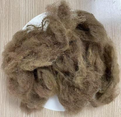 좋은 가격 저장형 재활용 폴리에스터 스테이플 섬유 25D 65mm 깊은 낙타 색상 온라인으로