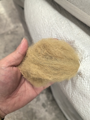 좋은 가격 재활용 된 폴리에스터 스테이플 섬유 6D 51mm 베이지 낮은 연장 온라인으로