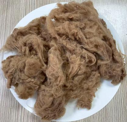 좋은 가격 재생 폴리에스터 스테이플 섬유 1.5D 38mm 라이트 카멜 온라인으로