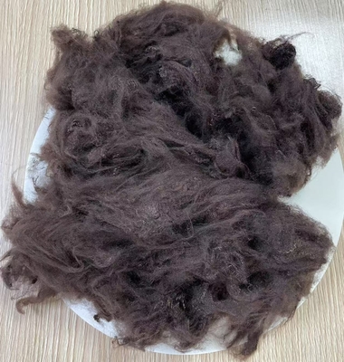 좋은 가격 비실리콘 처리 재생 폴리에스터 섬유 1.5D 38mm 다크 커피 온라인으로